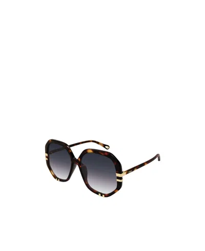 Chloé Logo Logo Sunglasses In Black