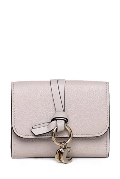 Chloé Logo Plaque Tri In Grey