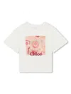 Chloé Logo-print Cotton T-shirt In White