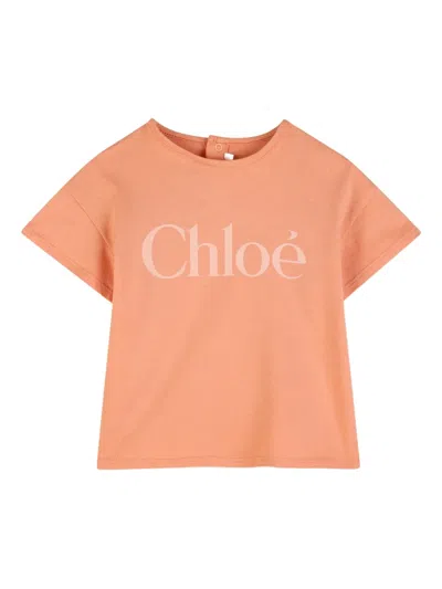Chloé Babies' Logo-print T-shirt In Orange