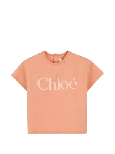 Chloé Babies' Logo-print T-shirt In Orange