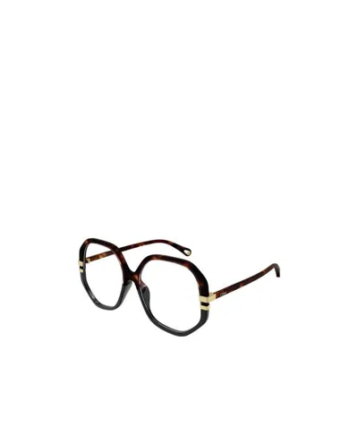 Chloé Logo-print Tortoiseshell Glasses In Black