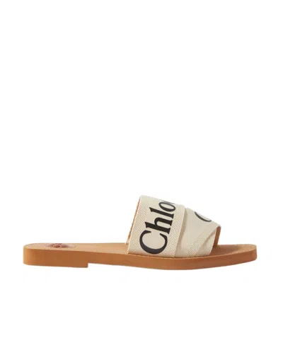 Chloé Logo Sandals In Brown