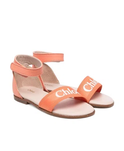 Chloé Logo Sandals In Nude