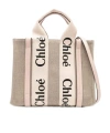 Chloé Chloe Women Multicolor Fabric Small Woody Shopping Bag In Nude