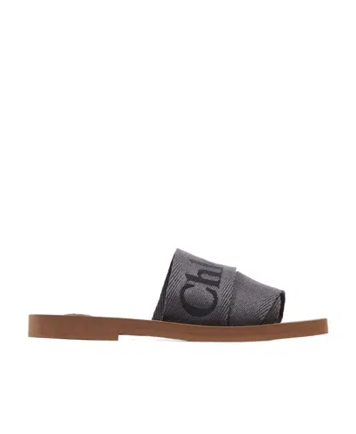 Chloé Logo Slippers In Brown