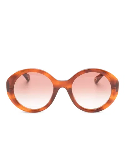 Chloé Logo Sunglasses In Brown