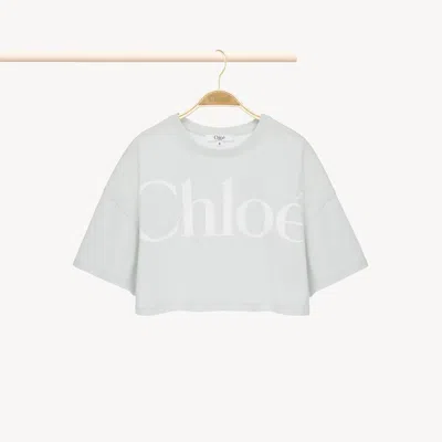 Chloé Printed Cotton Jersey Cropped T-shirt In Light Green