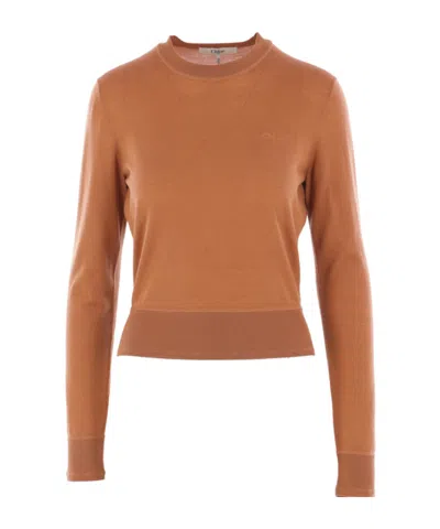 Chloé Logo-embroidered Crew-neck Top In Brown