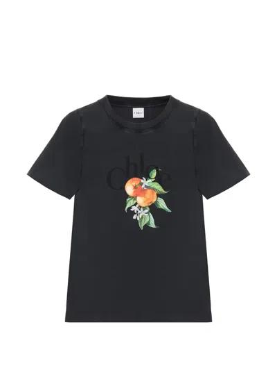 Chloé Logo-print Fruit-graphic T-shirt In Black