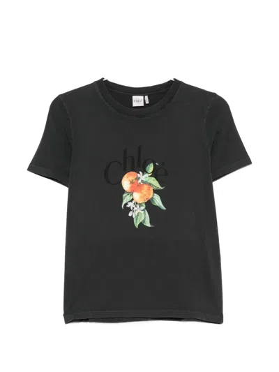 Chloé Logo-print Fruit-print T-shirt In Black