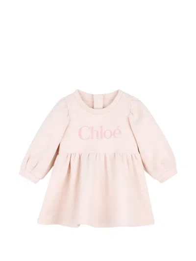 Chloé Babies' Logo-print Long-sleeve Dress In Pink