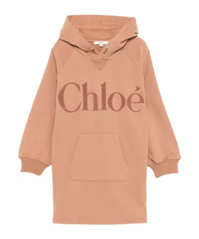 Chloé Long Sleeve Dress In Brown