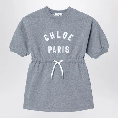 Chloé Long-sleeve Grey Dress With Logo In Gray