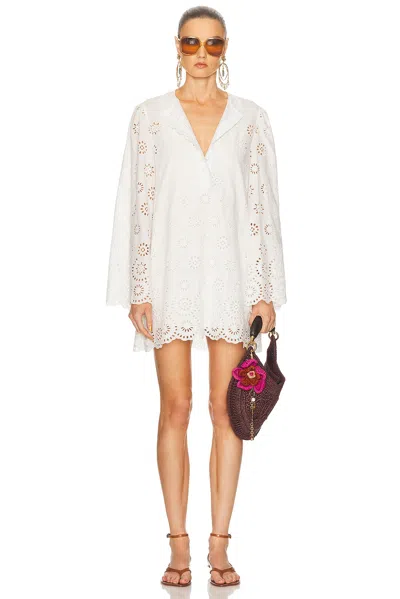 Chloé Long Sleeve Mini Dress