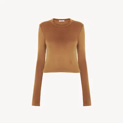 Chloé Long-sleeve Top In Velvet Jersey Brown Size S 100% Polyester