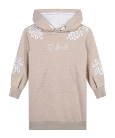 Chloé Long-sleeved Dress In Nude