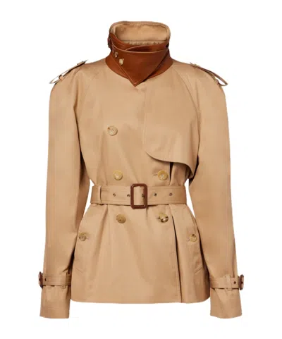 Chloé Long-sleeved Trench Coat In Brown