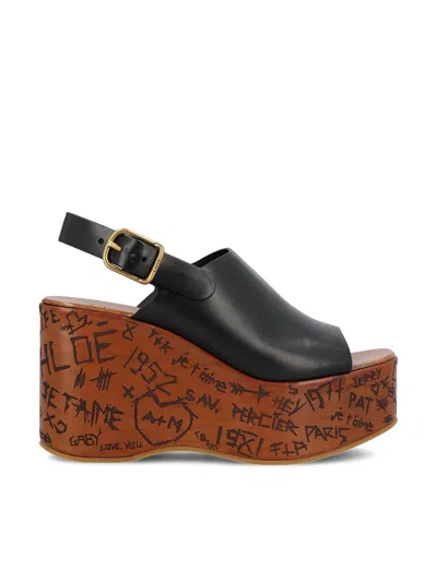 Chloé Low Shoes