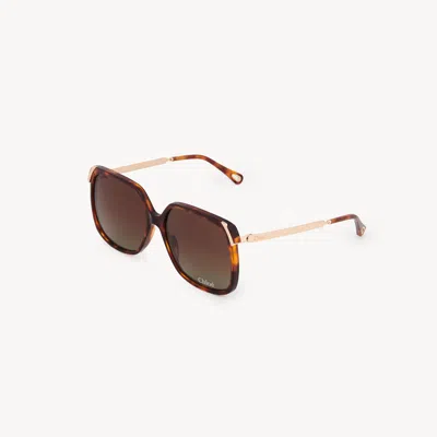 Chloé Lunettes De Soleil Aly In Brown
