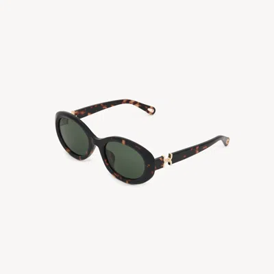 Chloé Marcie Sunglasses In Brown