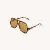Chloé Women Ch0289s Sunglasses In Brown