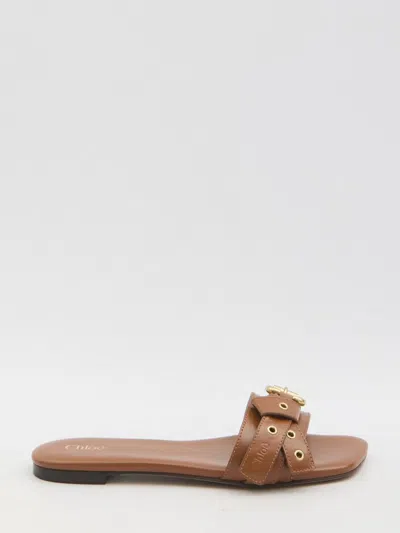 Chloé Mae Flat Mules