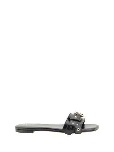 Chloé Mae Buckle-embellished Leather Flip Flops In Black
