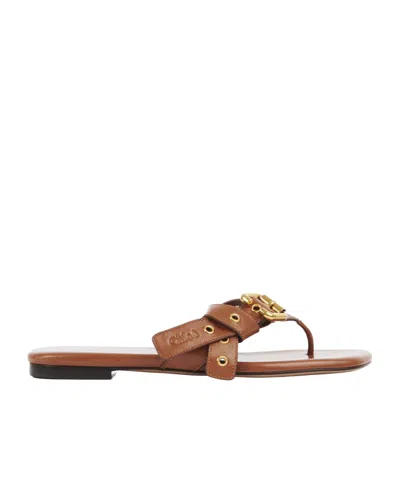 Chloé Mae Sandals In Brown