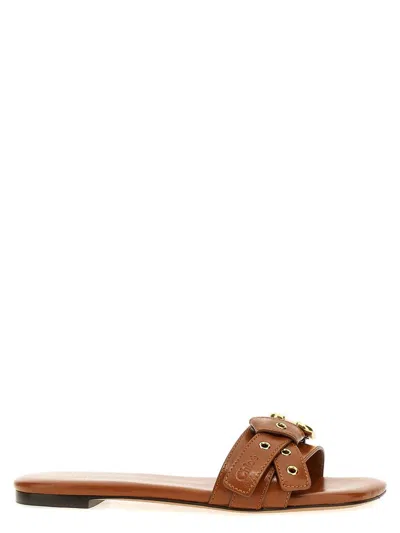 Chloé 'mae' Slides