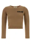 Chloé Camel Wool Blend Sweater In Brown