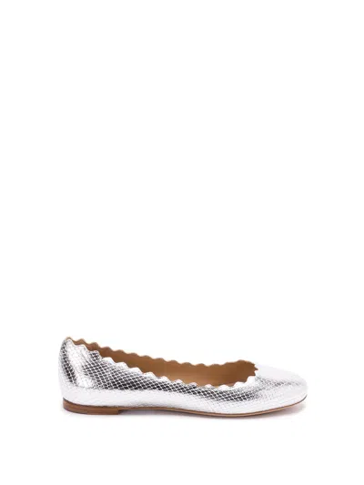 CHLOÉ `MARCIE` BALLERINAS