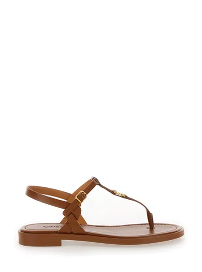 Chloé Marcie Brown Flat Thongs Sandals In Leather Woman In Caramello