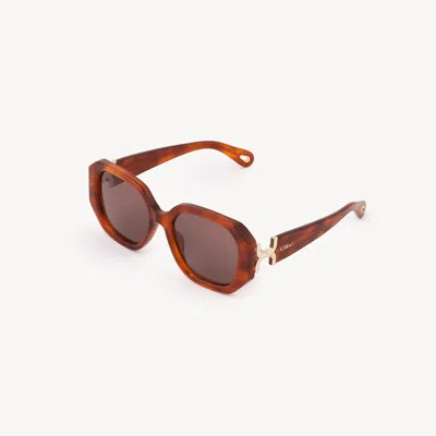 Chloé Marcie Sunglasses In Brown