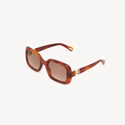 Chloé Marcie Sunglasses In Brown