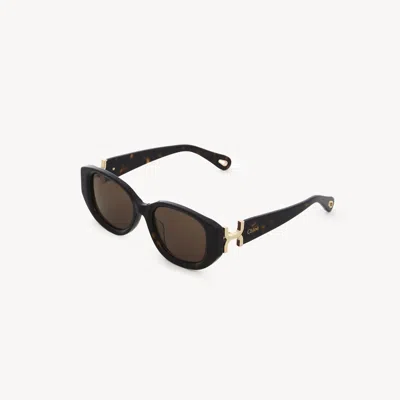 Chloé Marcie Sunglasses Brown Size Onesize 100% Acetate In Black