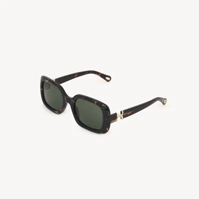 Chloé Marcie Sunglasses Brown Size Onesize In Black