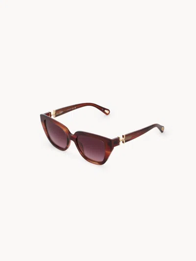 Chloé Marcie Sunglasses In Havana/burgundy