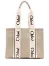 Chloé Women Woody Canvas Medium Tote In Multi
