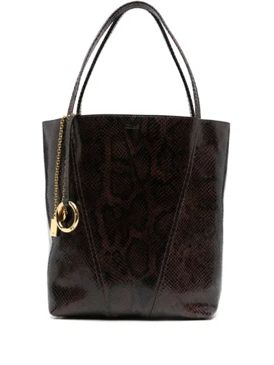 Chloé Stone Island Trousers In Cotton In Brown