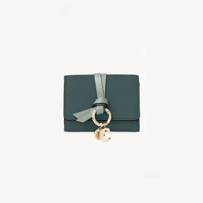 Chloé Mini Alphabet Tri-fold In Grained Leather Blue Size Onesize 100% Calf-skin Leather