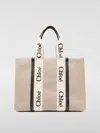 Chloé Woody Bag In 米色