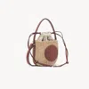 Chloé Mini Horse Medal Basket Bag In Natural Fibres Brown Size Onesize 100% Paper Yarn, Calf-skin Leather In Brown