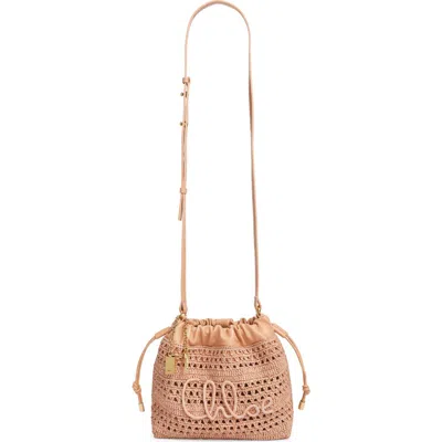 Chloé Mini Summer Banana Woven Raffia Drawstring Shoulder Bag In Pink