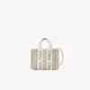 Chloé Structured Green Handbag With Versatile Design In Neutral