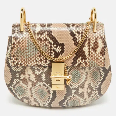 Pre-owned Chloé Multicolor Python Medium Drew Shoulder Bag