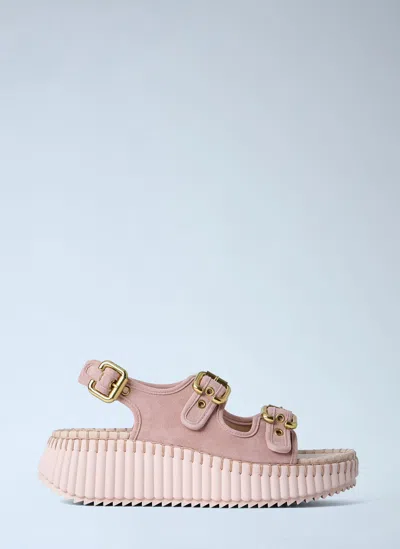 Chloé Multicolor Calf Leather Bos Taurus Platform Sandals In Brown