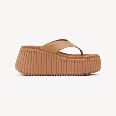 Chloé Nama Leather Platform Flip Flops In Pink