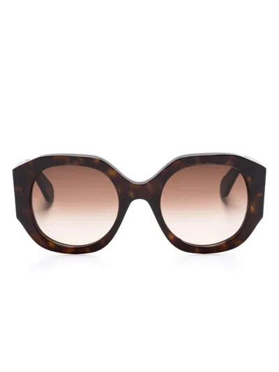 Chloé Naomy Sunglasses In Dark Havana/brown In Black