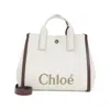 Chloé Chloe Carry Shoulder Bag Women In Multi